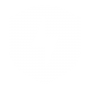 security shield icon.